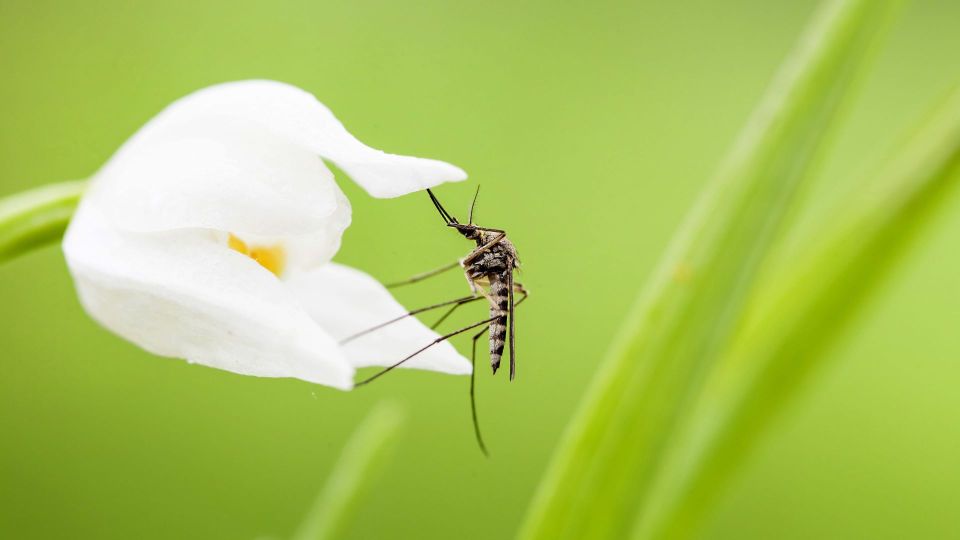 ��� ���� ������ ������ ������ �����: ���� �� � ������ ����� ��� �����