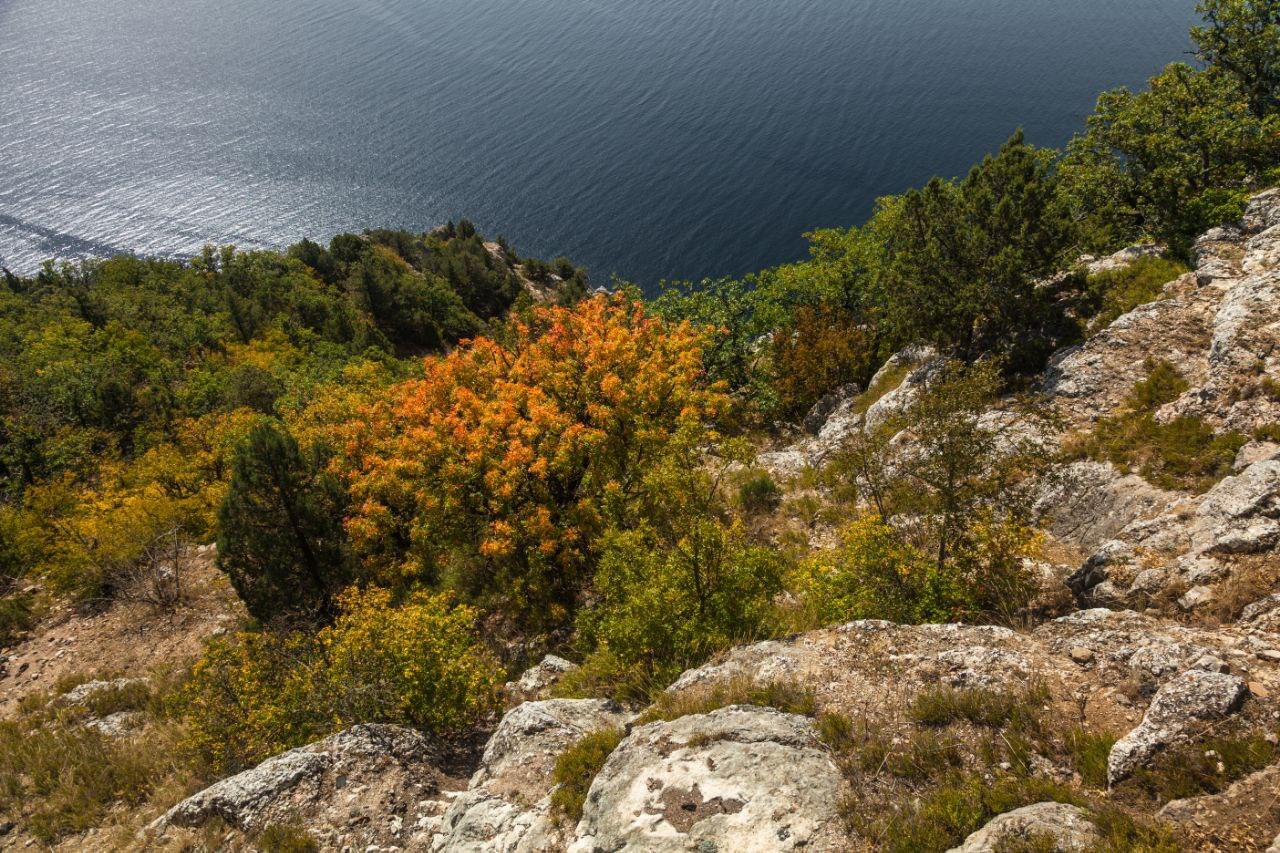 Михаил Развожаев: Сегодня — Всероссийский день заповедников и национальных парков Михаил Развожаев: Сегодня — Всероссийский день заповедников и национальных парков