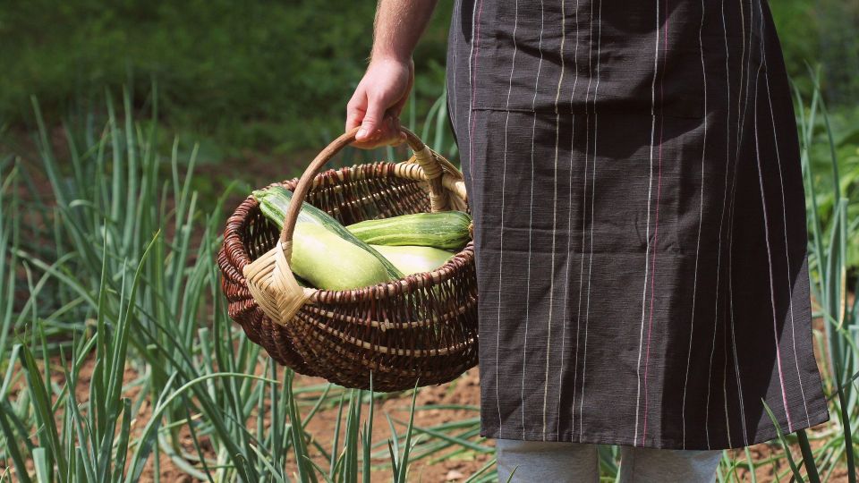 ���� ������ �������� ��� ������: ������ ��������� � ����� ������� ������