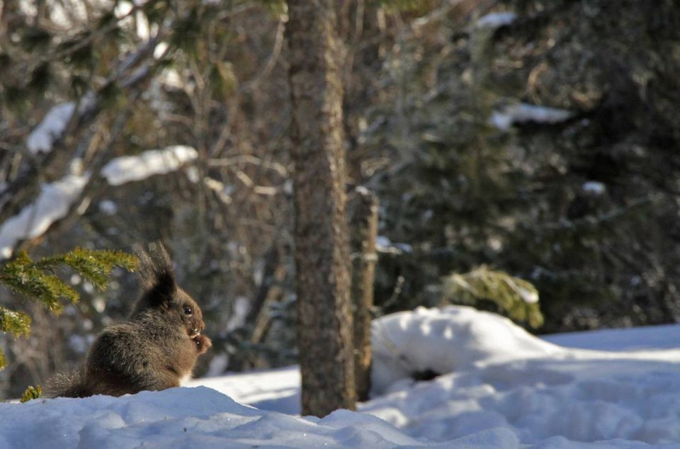 С первым рабочим днем 2026 года!
