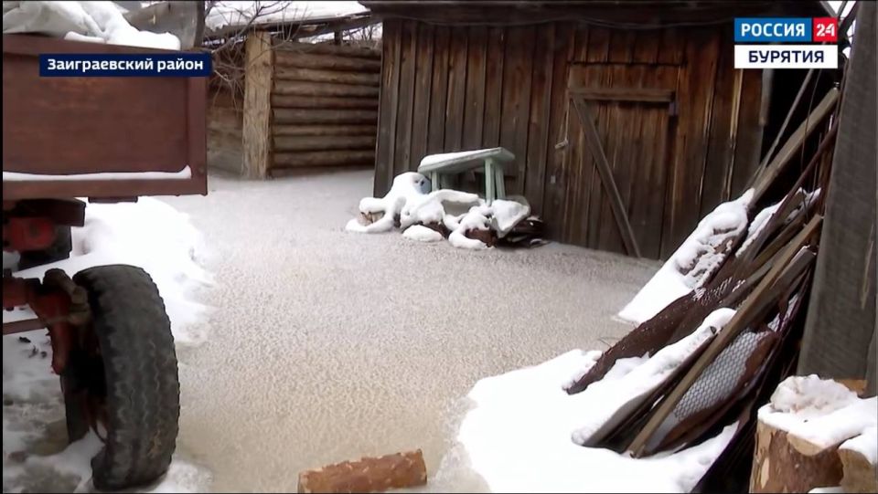 ������ ������������� ������ ���������� �������� �� �����������