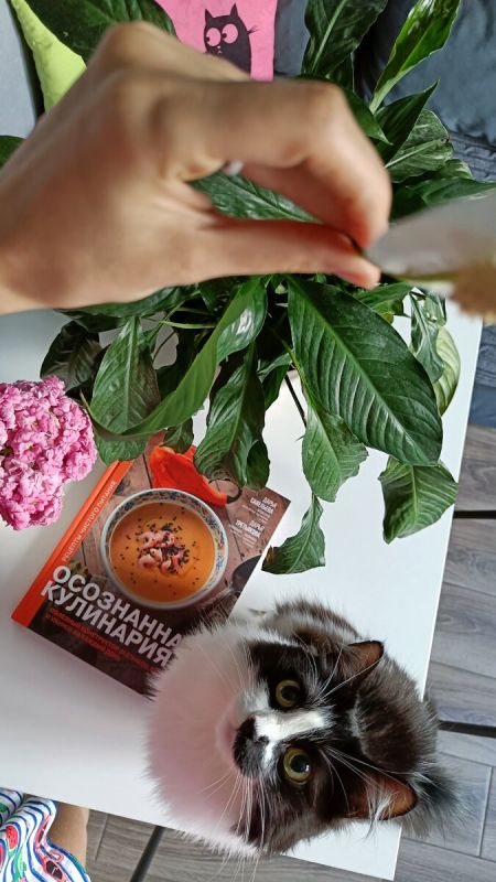 Новая книга о осознанной кулинарии: как правильно питаться и радовать себя вкусом