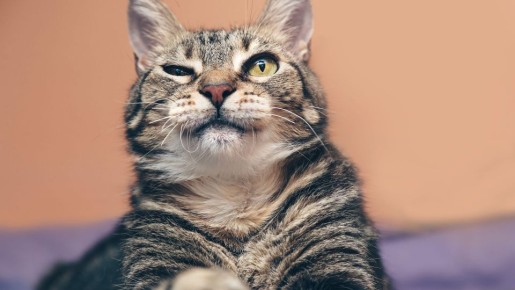 �� ��������� ���������: ������ ������ � �����, ���� ���� ����� �������