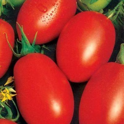 ������ ���������: ��������� ����� ��� ��������� ������ ������� � �����������