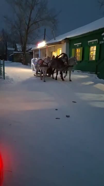 � ������-����� ���� �������� ������ ����� ���