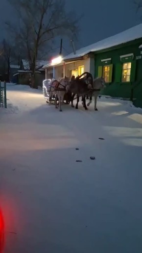 � ������-����� ���� �������� ������ ����� ���