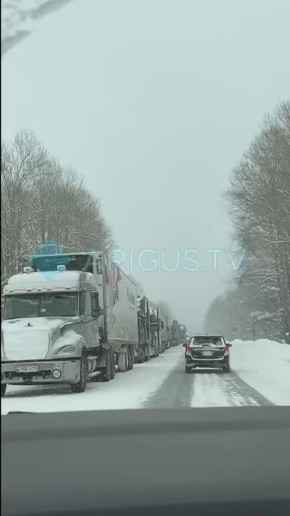 ��� �����: � ���������� � ������� �������� ����� ����