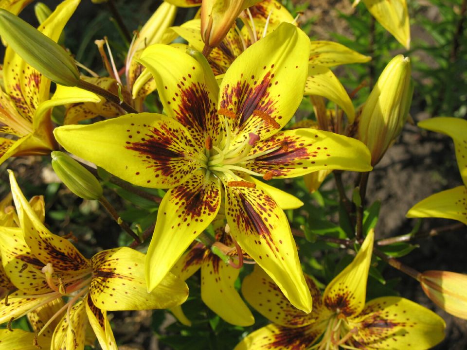 �����: ����� ������� �� ������ ������� � �������� ������ �����