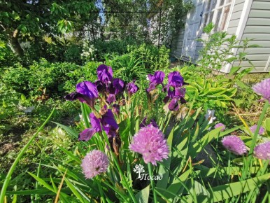 ��� �����: ������ ������ ���������� ������ � �������