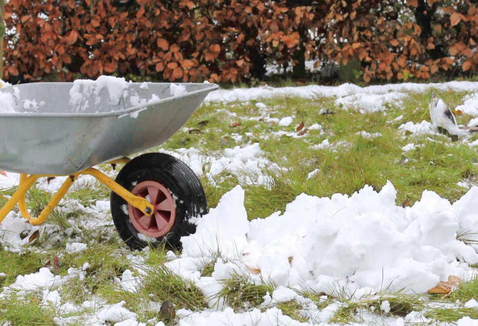 ������ �� ����: ��� ��������� ��� �� �����