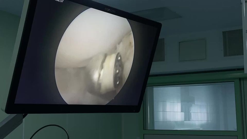 ������������-�������� ���� �������� ������� ������� ������ ������ ������������