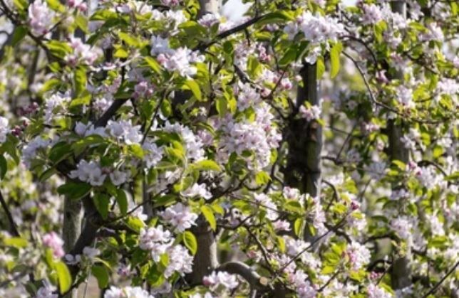 ����� �� ��������� ��������: ����� ������ ���������� ���������