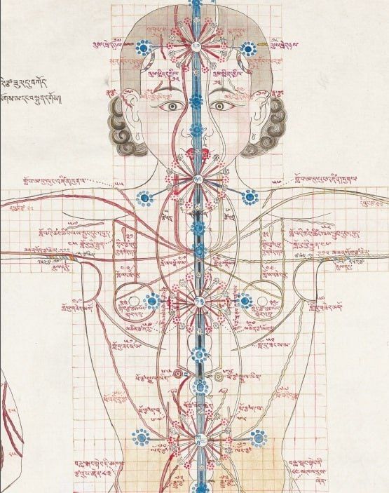 � ������� ����������� ����� ������� ����������� ������� ��������� ���������