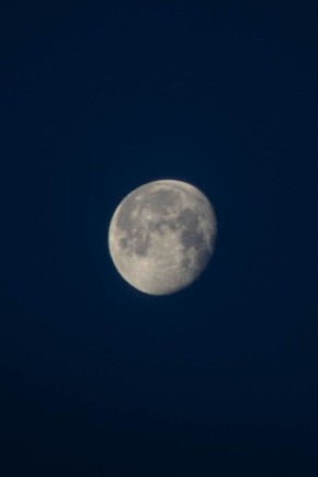 ������ ���� � ����-���: ������ �������� ������