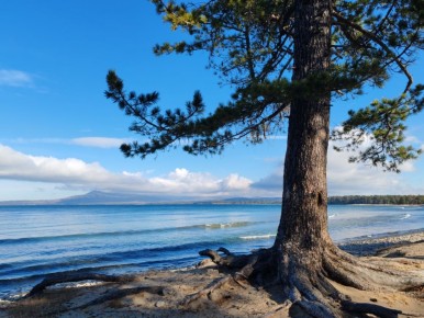 � ������� ����� ������� ��������� ����������� ��� �������