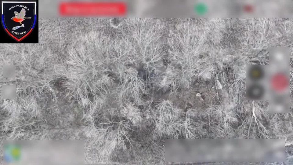 ���������� ����������� ����� "������" �� ������� ���������� ����������� ����� ���� ���������� � ������� �������, ����������� ������� ����������