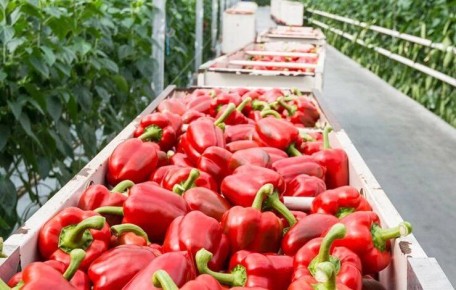 ��� ������� ��������� ����� ����� ��� �������: ������ ��� �������� �����������