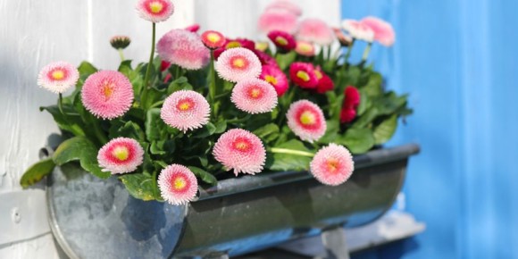 ����������: ��� ������� ��������� ������� ��� ������ ����