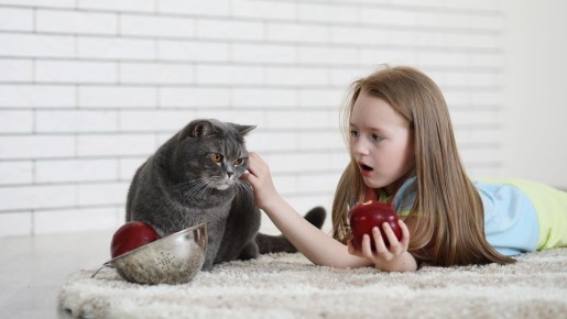 �� ������� ���� ����� ������� � ��������: �������� �� �������� ���� �����