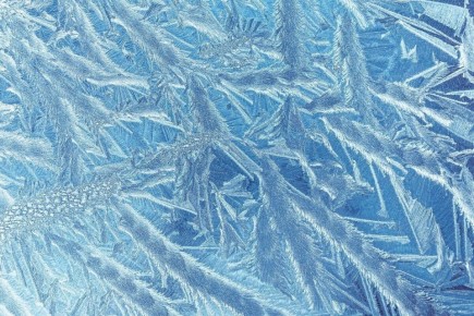 � ����-��� ���������� ������ ����� ������ ��������� �� ������������� ��������