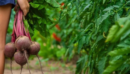 ������: �������� ��� ������������� ��������� ��� ������ ��������?