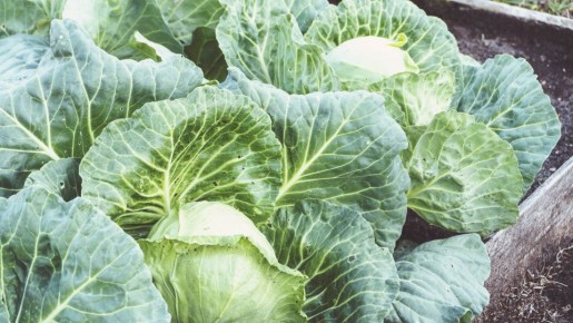 ������� �������� �� ������� ���� �������: ����������� �� ������� ��� ���