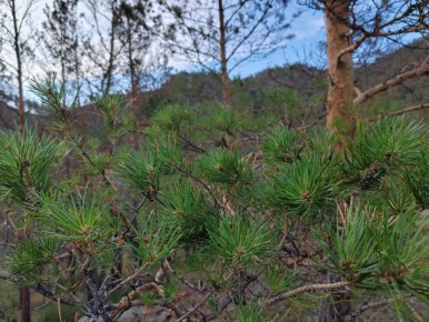 ������ ���������� ������� ������� ������ ������� �������� �����