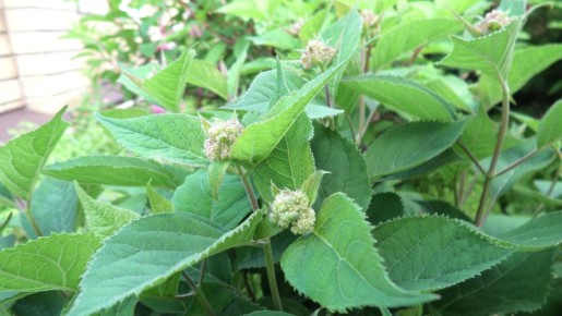 ���������: ��� ���������� � ��������� ����� � ����������� �� �������