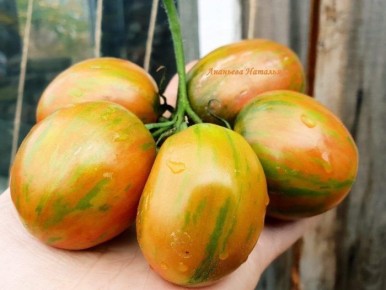 ��������� ������ ������������� ���������: �������������� ����� � ������� ��������