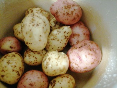 ��������� ������ ��������� ���������