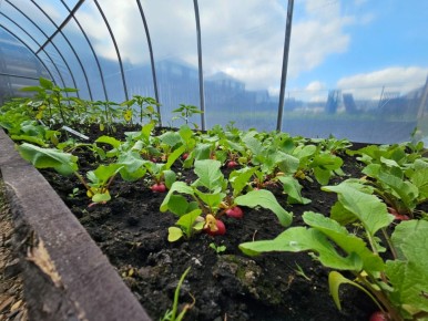 ���������: ��� ���������� �� ������� ����� � ���������� �����