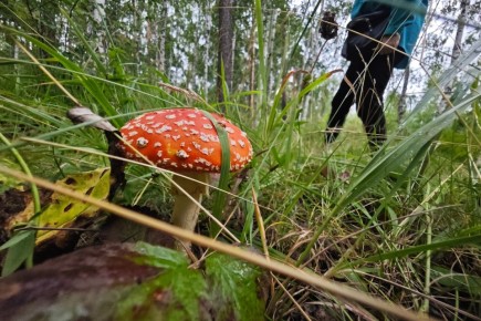 ��� ������ ������������ ����� ������� ������������� ��������� ����� ������ �����