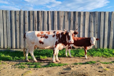 ������������: �� ������ ������������� � ���������� ������ ��� ������ ����. ���� � �� 5 000 ������. �� ��������� �� ������, ��� ������ ���� ������, � ������ ���� ���������� �������� ��������� ��������, ����� ������ �������...