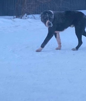 � ��������� ���� ��� ����������� ����������� ������