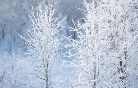 ������ � ������� ������� ��������� -50