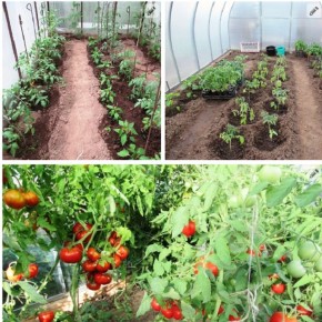 ���������� � ������� ������� � �������