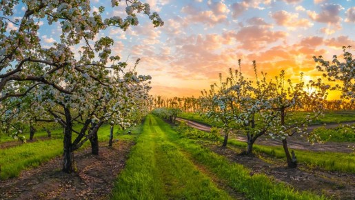 ������������ � ����������� ���: ��� ������� ��� ��������� ���������� ���������