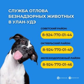 ��������� ��������, �� ������ ����� ����������� �� ��������� � ��������