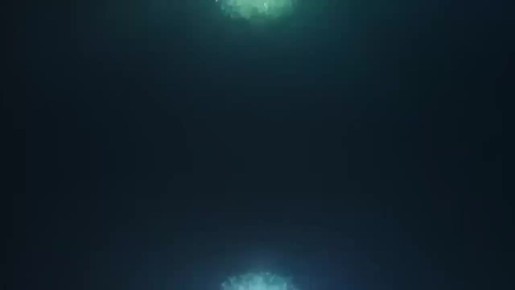 � ���������� ������� ����������� �������� ���������� ������ �������� ������� ������������� �����