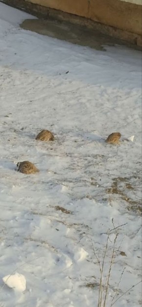 ����� ����� �� ����� ��������� � ����-��� ���������� ������� �� ������ �� ����