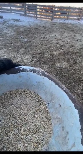 ���� �������� ��� ����������� ������� ������� ���������� �������� ����������