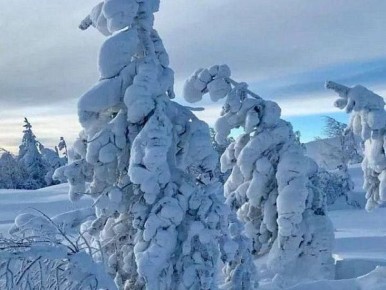 ��� ������ ���������� ��������� ������ �����