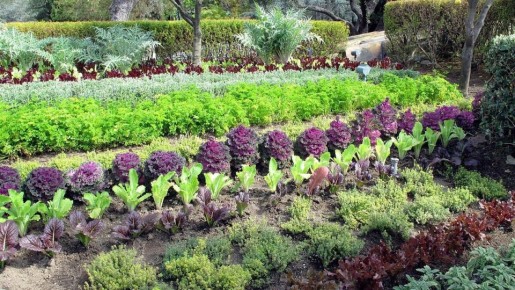 ��� �������� ������ ���� �������� ��������� ����� �� ���� aromas � ��������