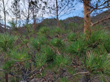 Все пострадавшие в ДТП с автобусом находятся в больнице