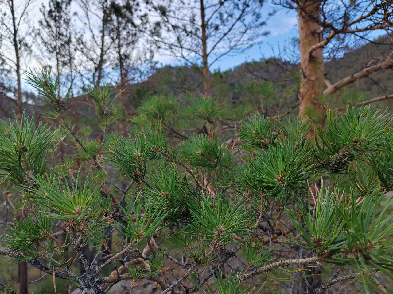Все пострадавшие в ДТП с автобусом находятся в больнице