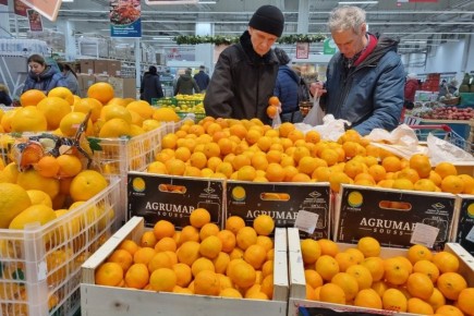 Ограничение цен на продукты в Новый год может запустить скрытые последствия