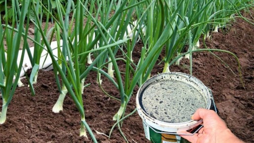 ��� �� ���� ��������� ������� �������� ������� � �������� ������