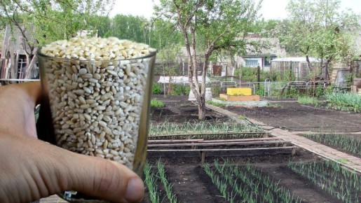 ������ ��� ������: �������� ��� ����� ������ � ����� ��������� ������ � �����