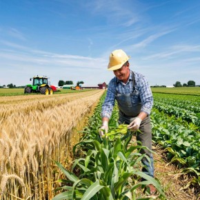 ��� ������ ������������ ���������� � �������� �������� ������ ��� �����