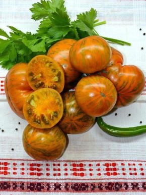 ����� ��������: �������� ������� � ��������������� � ����� ��������� �����